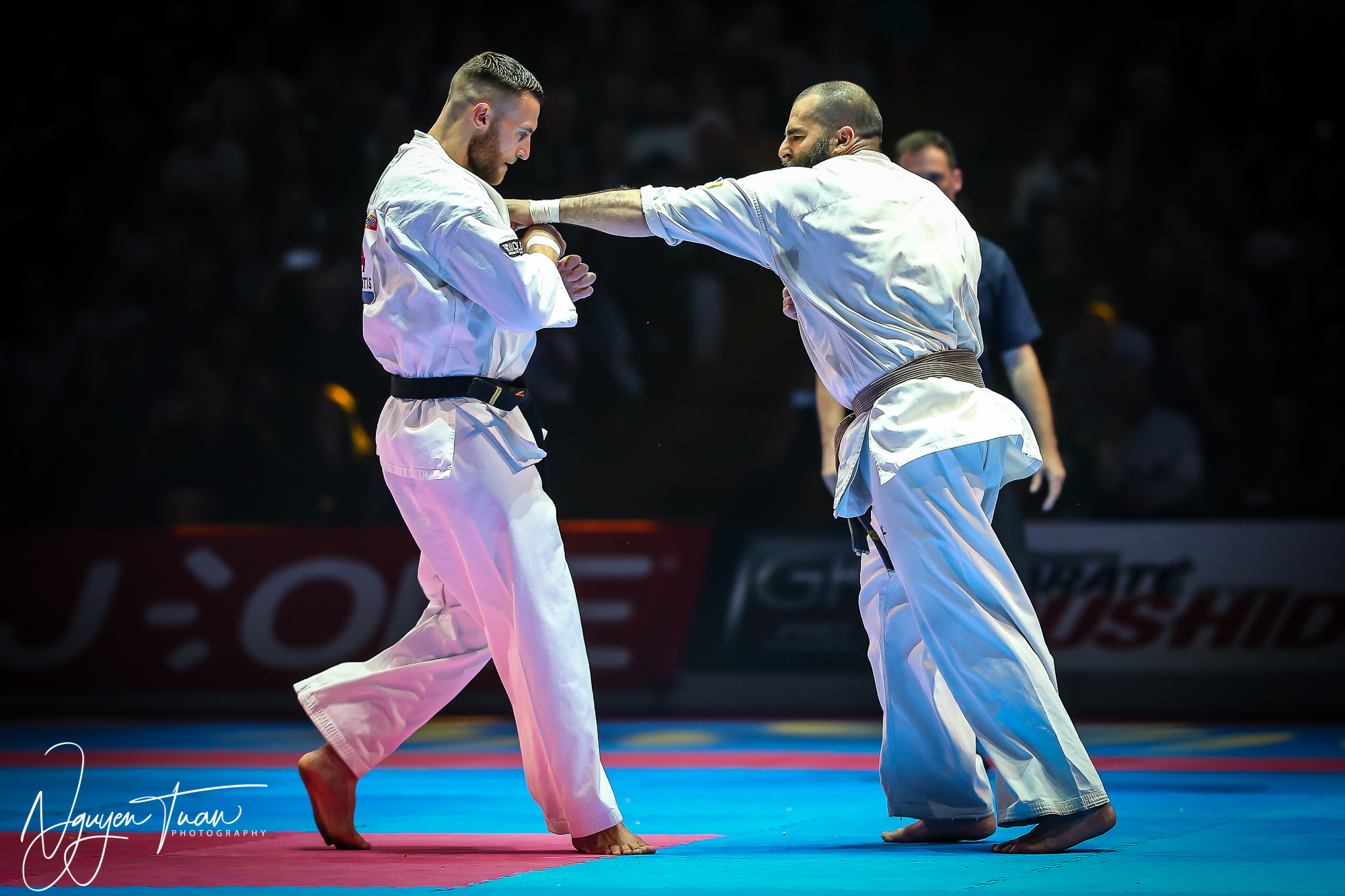 20190324 Festival des Arts Martiaux 6089